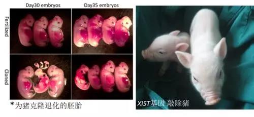 文章附图