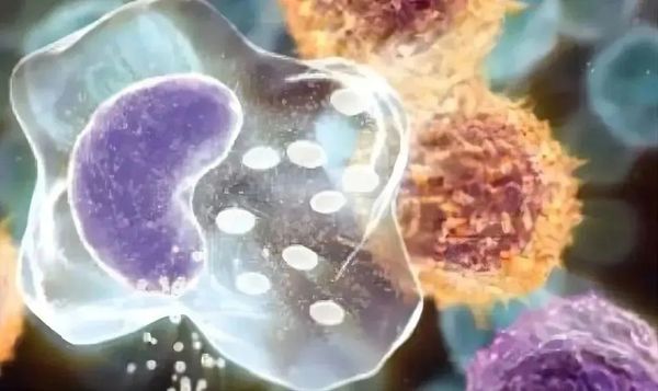 20230106-187642227.jpg 20230106-187642227.jpg