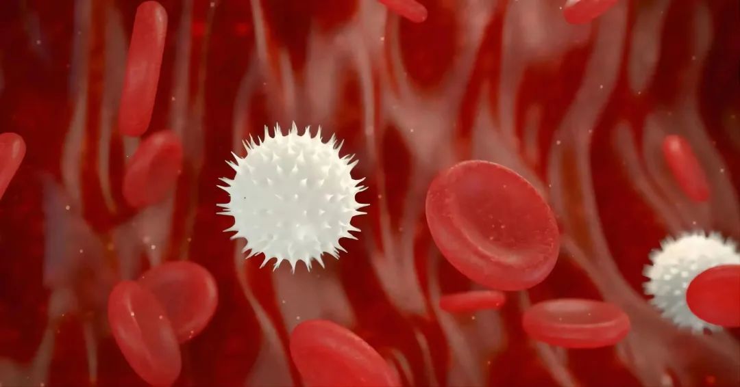 20230106-1818301252.jpg 640 (5).jpg