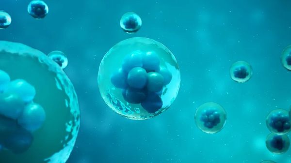 20230106-779619201.jpg 20230106-779619201.jpg