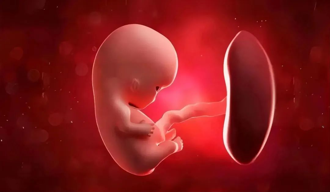 20230106-382075438.jpg 640 (3).jpg