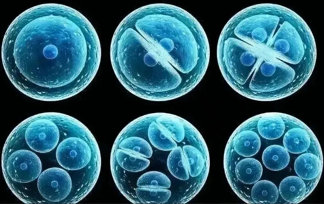 20230106-1418403205.jpg 640 (6).jpg