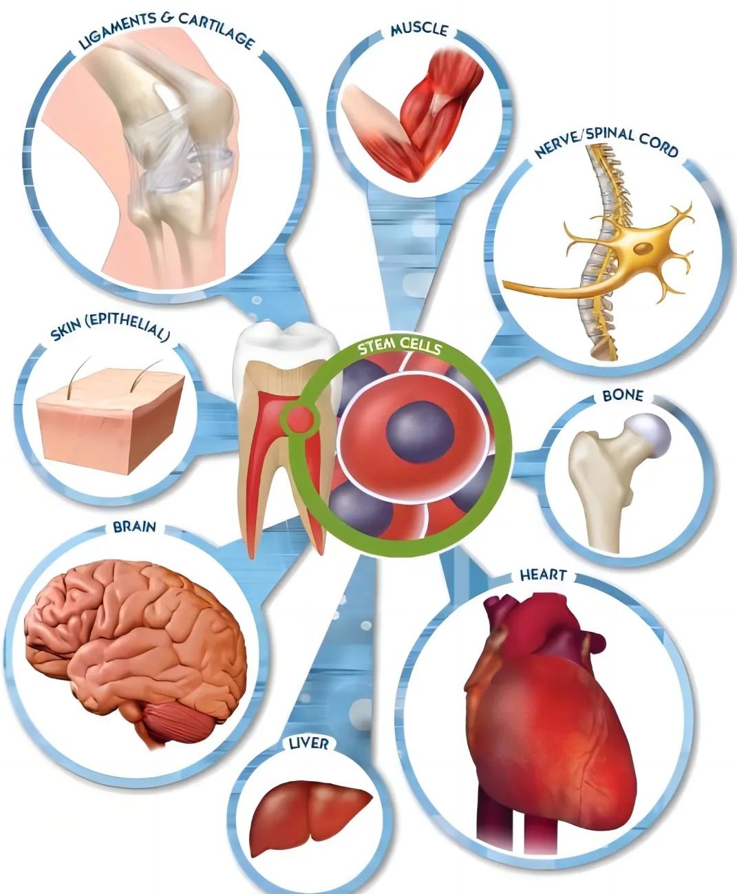 20230106-1430653308.jpg 640 (7).jpg