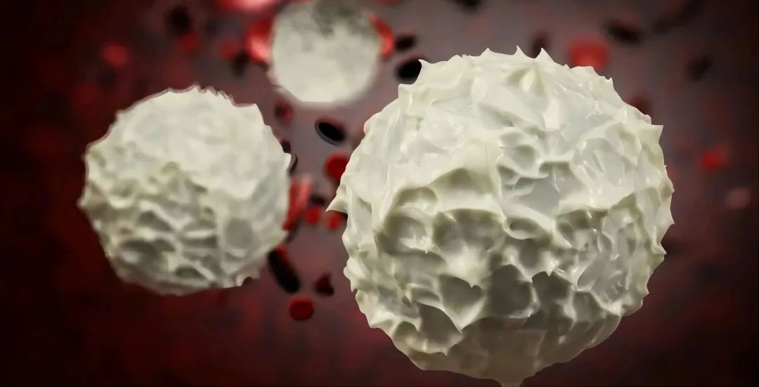 20230106-1022951643.jpg 640 (4).jpg